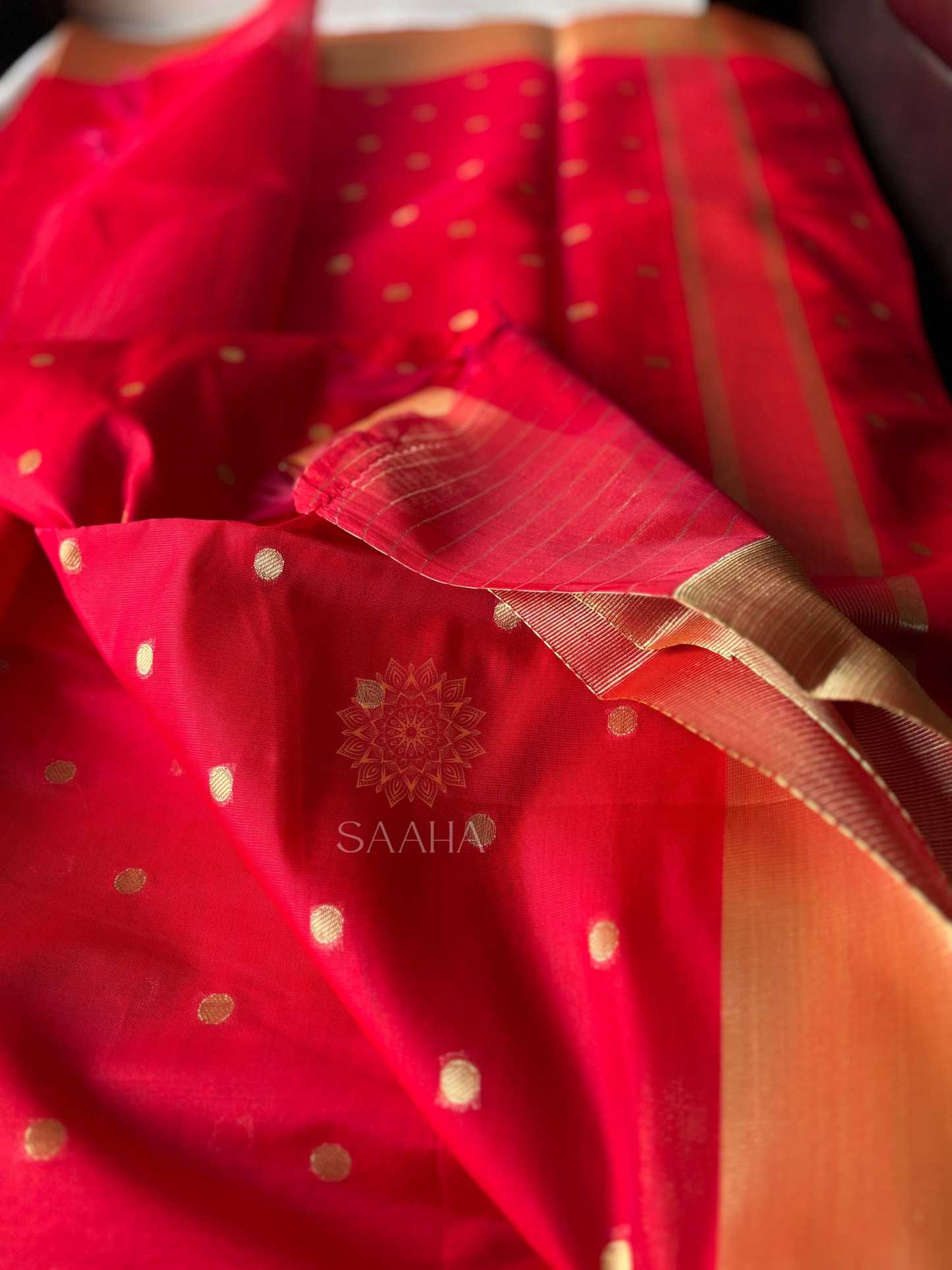 Golden Polka_Soft Banarasi Silk Cotton Saree