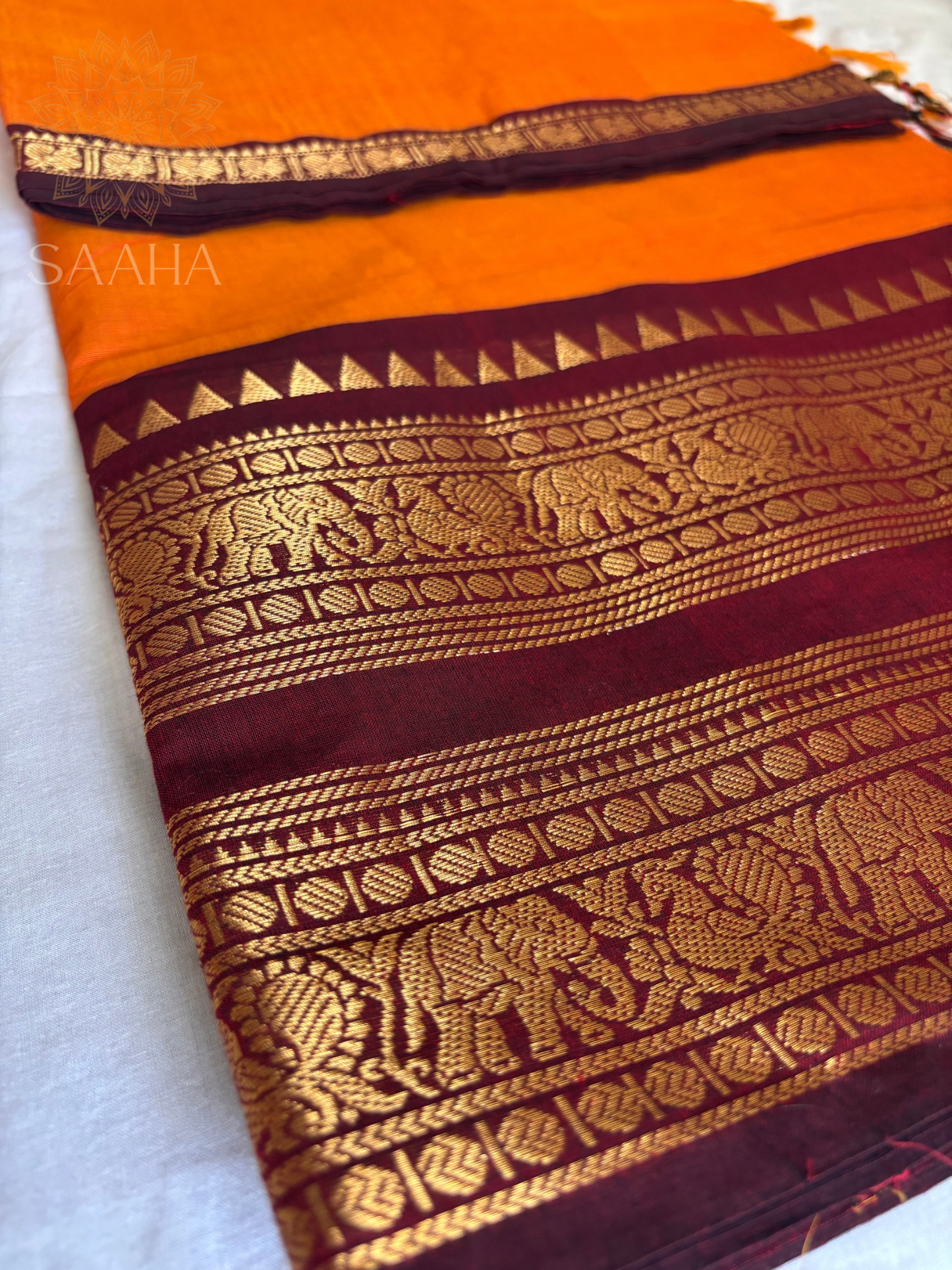 Geethanjali_Handwoven Kanchi Cotton Saree with zari woven border