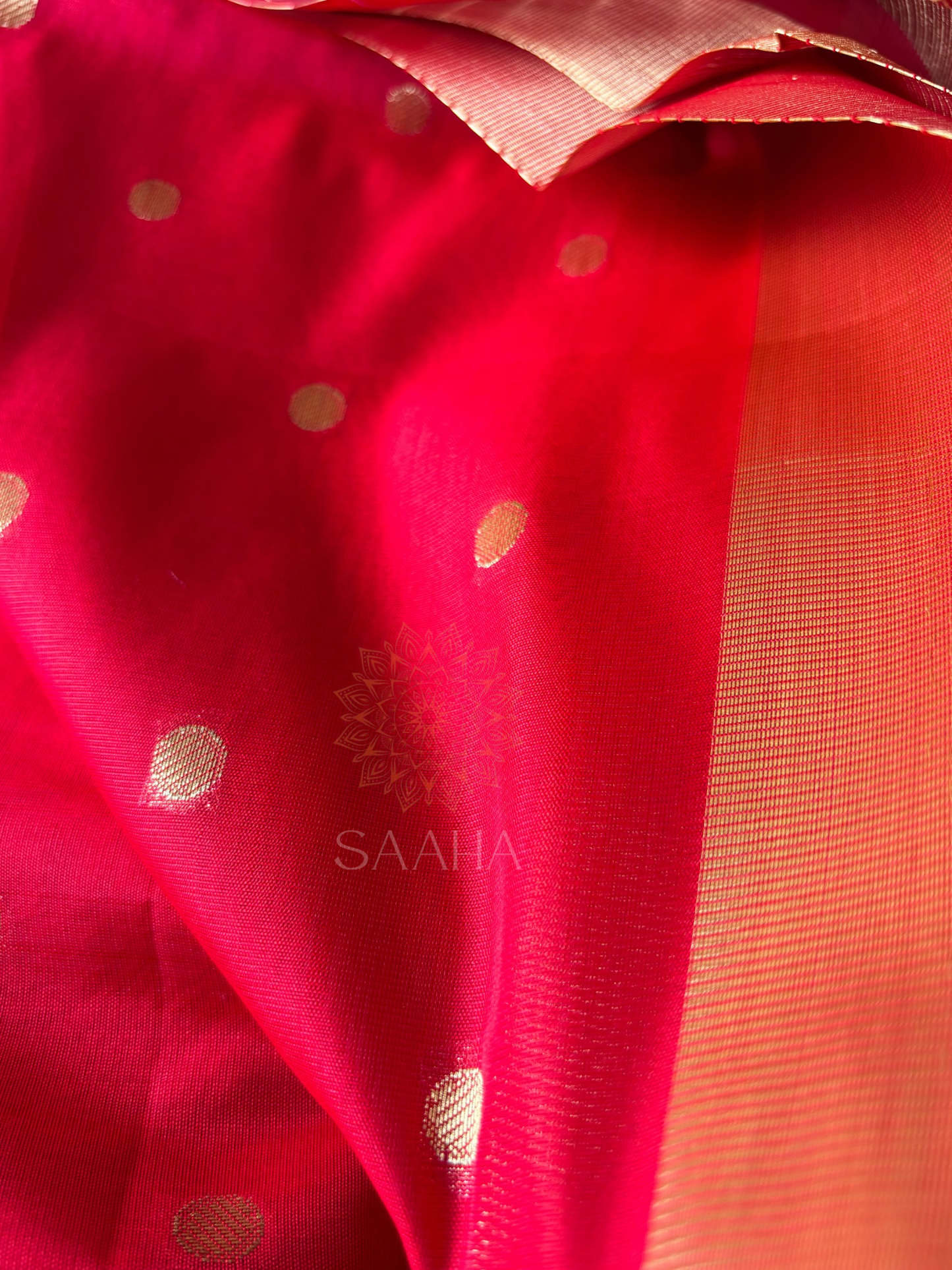 Golden Polka_Soft Banarasi Silk Cotton Saree