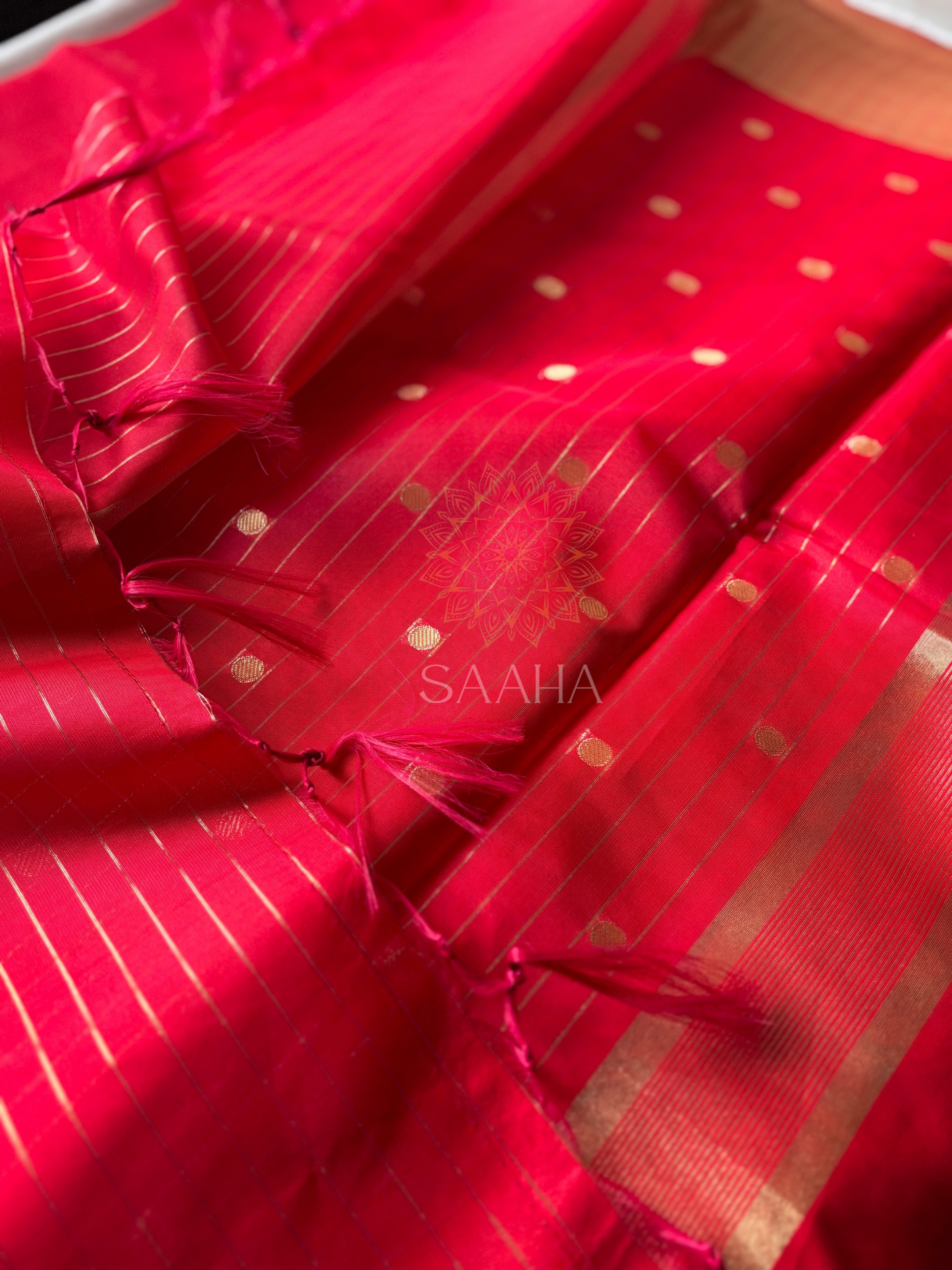 Golden Polka_Soft Banarasi Silk Cotton Saree