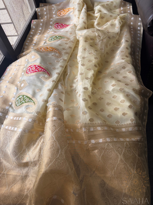 Paisley Paradise_Off-White Organza Silk Saree