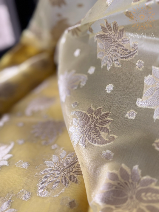 Golden Bloom_Handwoven Semi Organza Saree