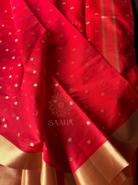 Golden Polka_Soft Banarasi Silk Cotton Saree